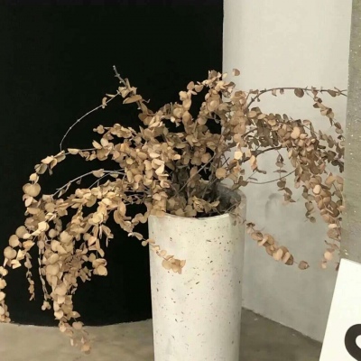 兽设森系风格设计FurryQQ群